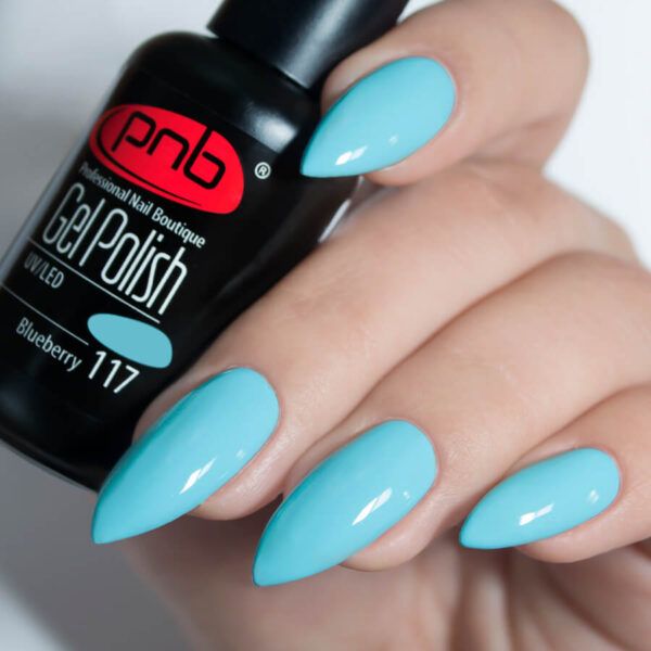 Gel nail polish PNB 8 ml Blueberry 117