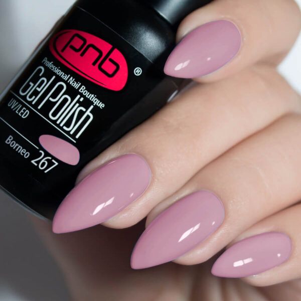 Gel nail polish PNB 8 ml Borneo 267