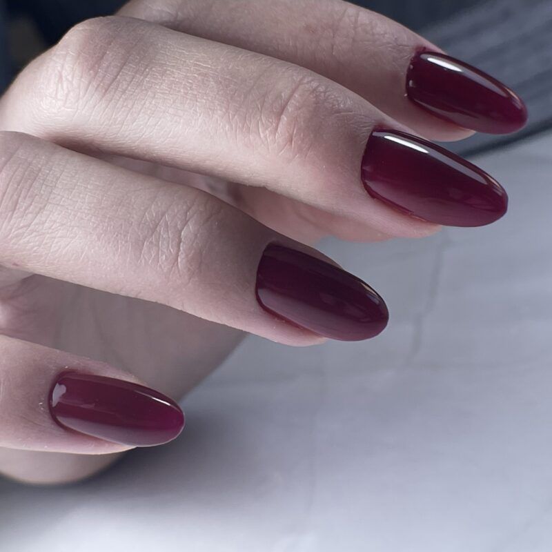 Gel nail polish PNB 8 ml Black Cherry 234