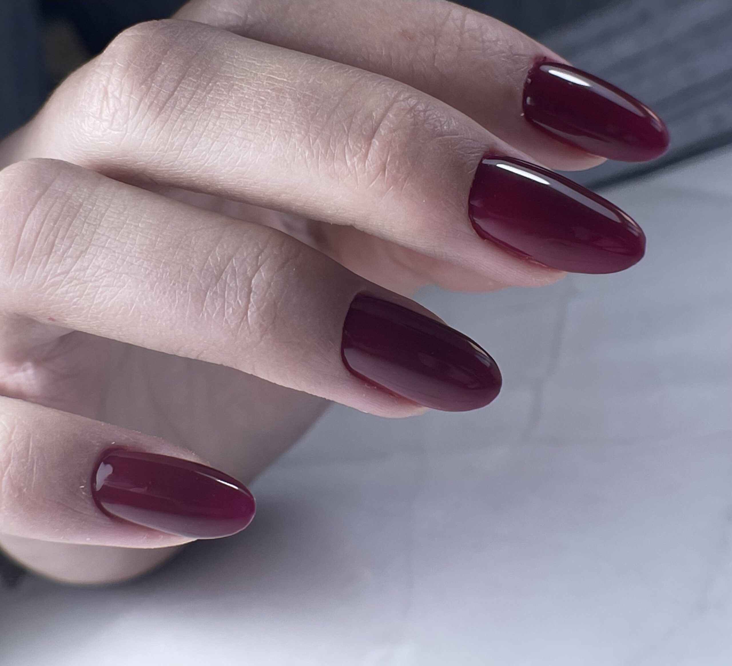 Gel nail polish PNB 8 ml Black Cherry 234