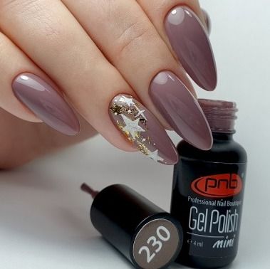 Gel nail polish PNB 8 ml West Wind 230