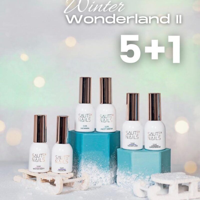 Colección Winter Wonderland II
