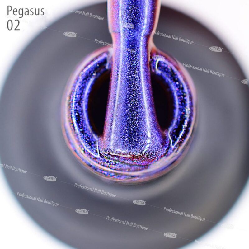 Gel Magnetic Polish PNB Meteorites 9D 8ml Pegasus 02