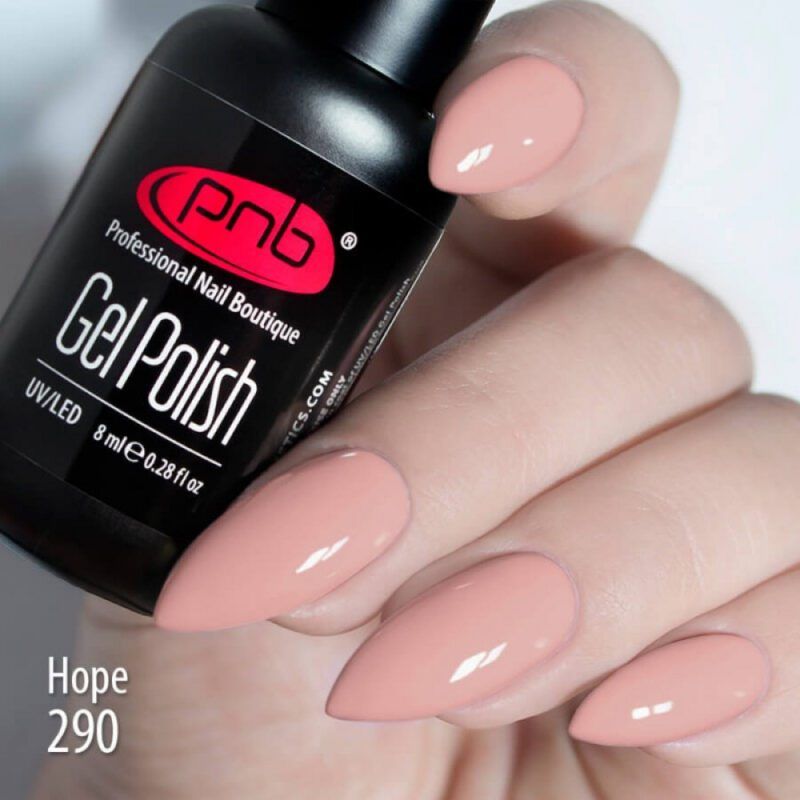 Gel Nail Polish PNB 8ml Hope 290