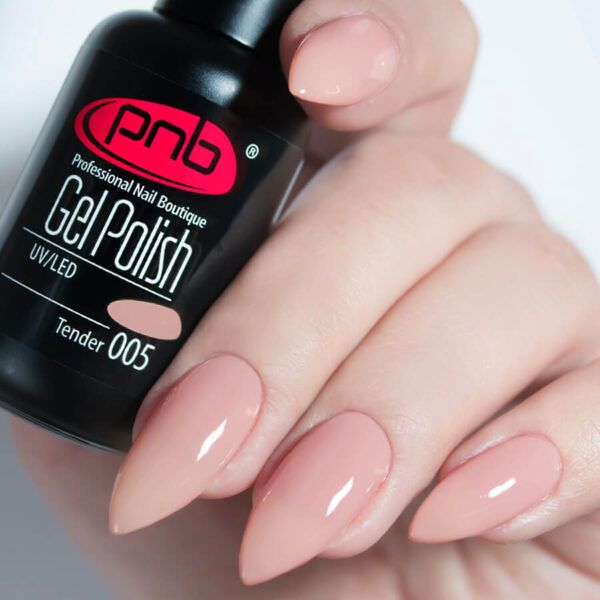 Gel nail polish PNB 8 ml Tender 005